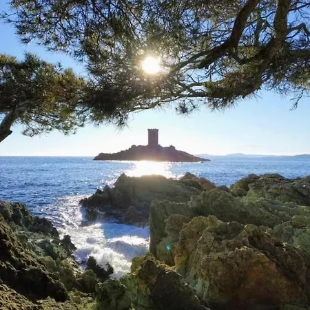 Superb Apt With Terrace And Garden Near The Beach Saint-Raphaël